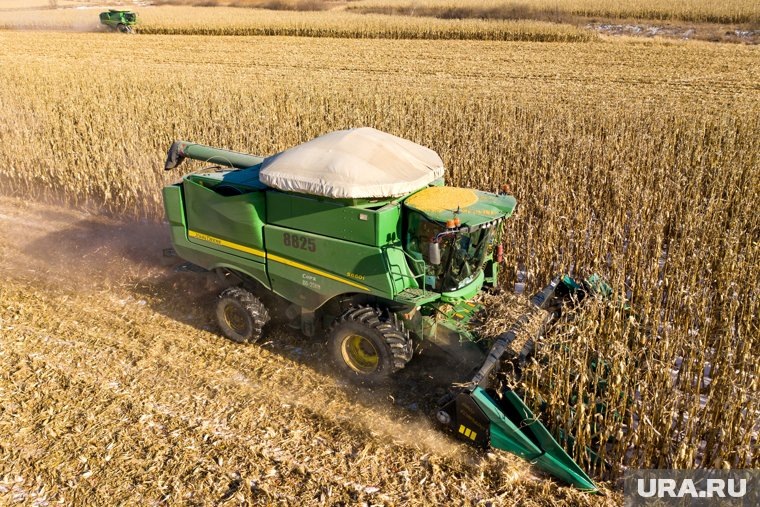 «Русагро» владеет площадью в 800 тысяч гектаров. Фото: Смитюк Юрий/ТАСС