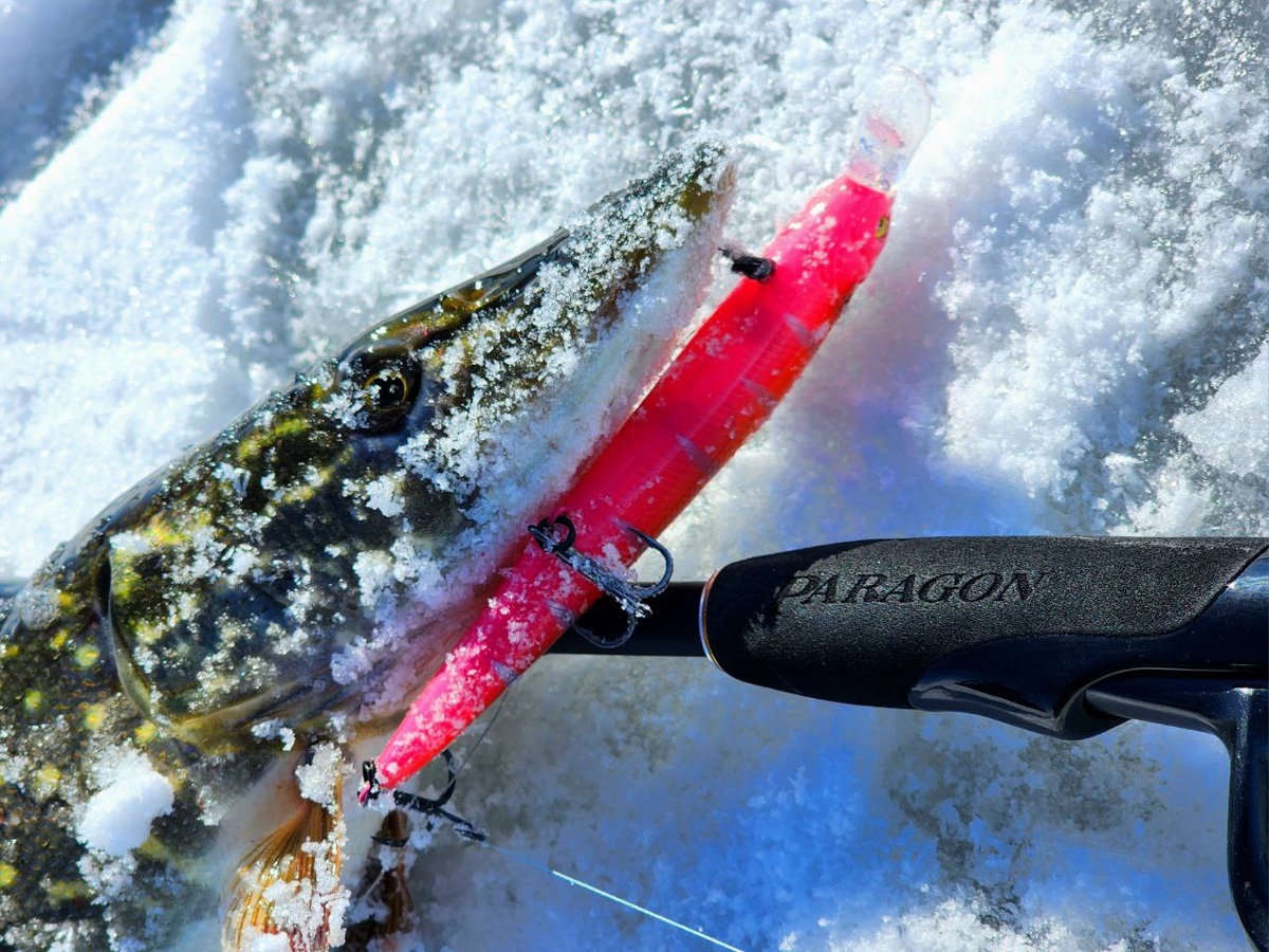 Если вас не смущает длина 2,4 м, то Paragon отлично подходит для мягкого твичинга