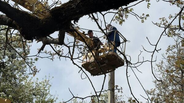    © Sputnik / Аманда Томаева