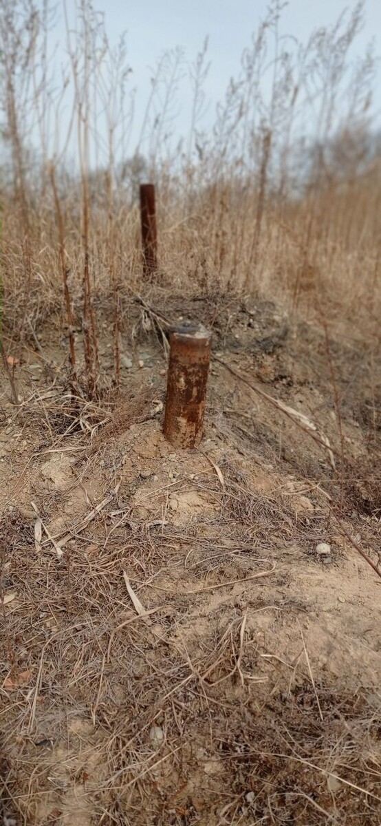     Источник: Управление Росреестра по Приморскому краю