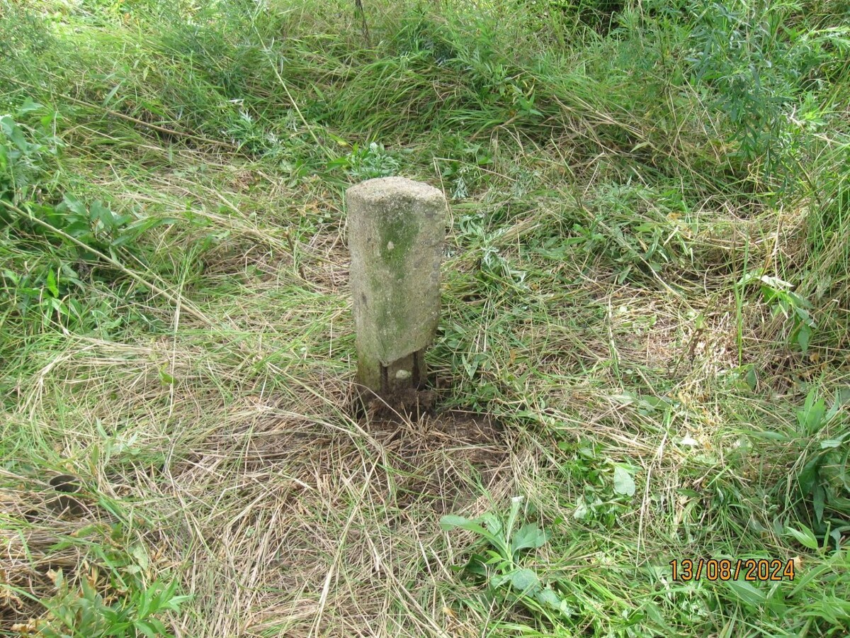     Источник: Управление Росреестра по Приморскому краю