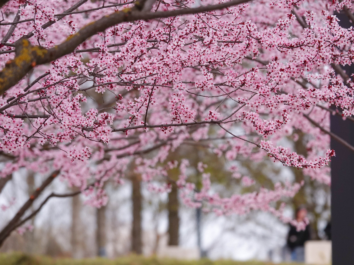 Листаем враво