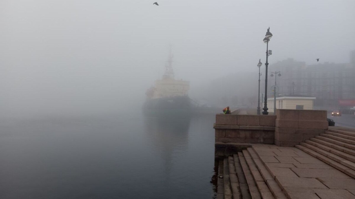     Источник: Telegram Александра Колесова