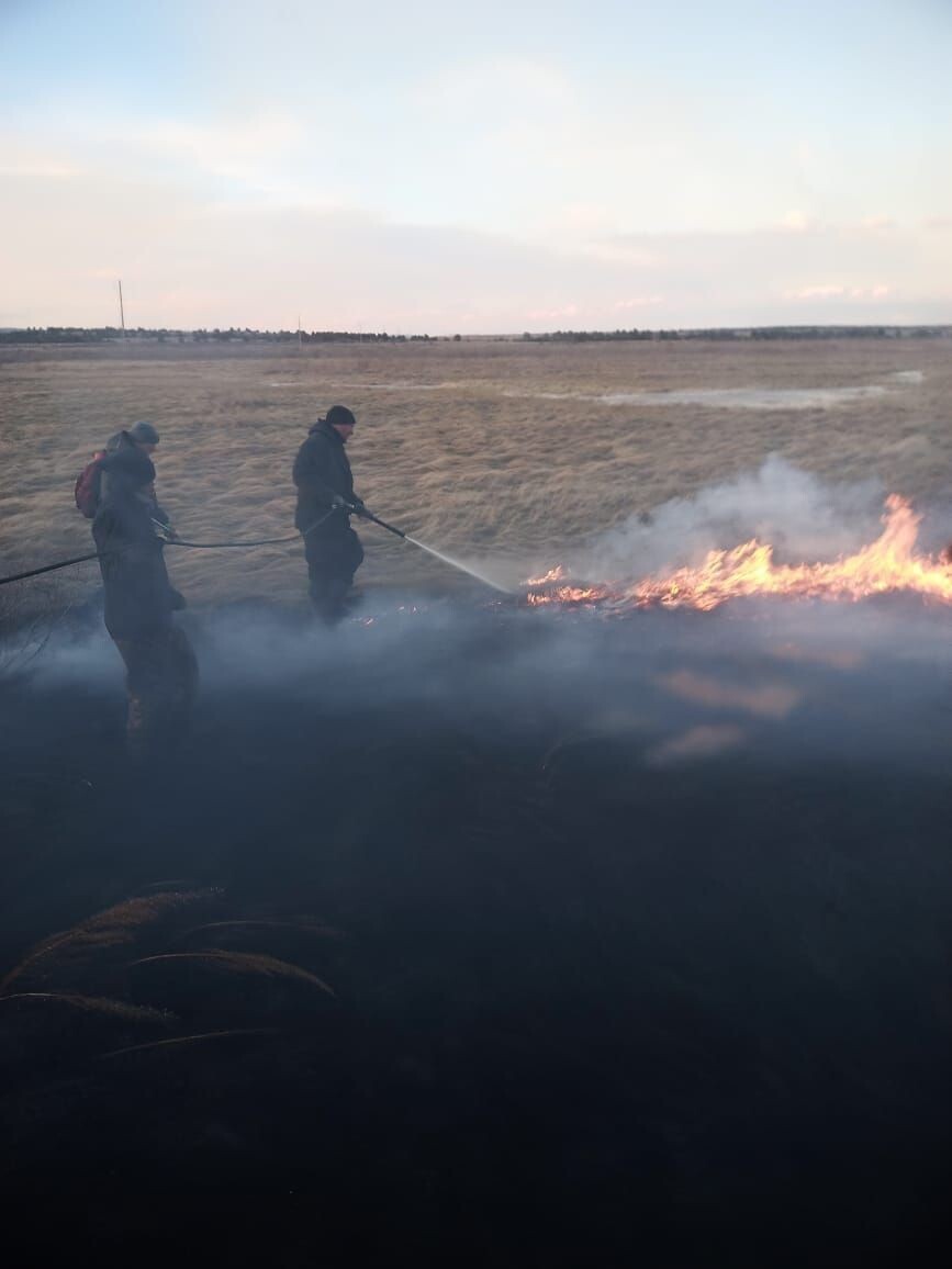    Фото: Пресс-служба Минприроды Забайкалья