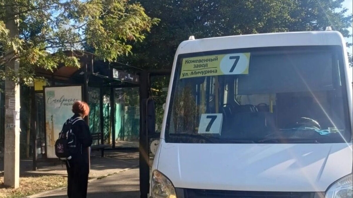     Автор: Миндор Ставропольского края