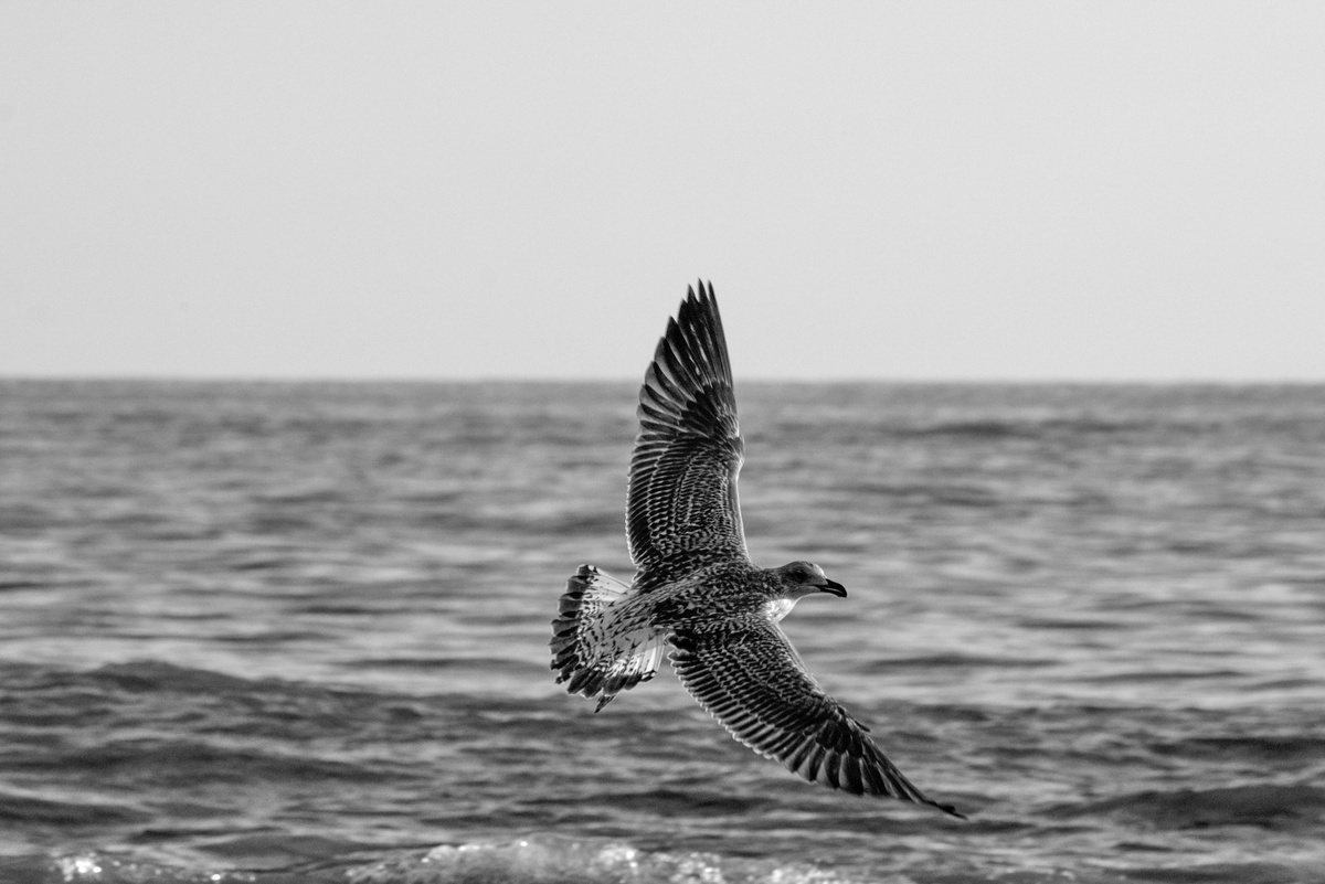 Фото Станислав Аникин