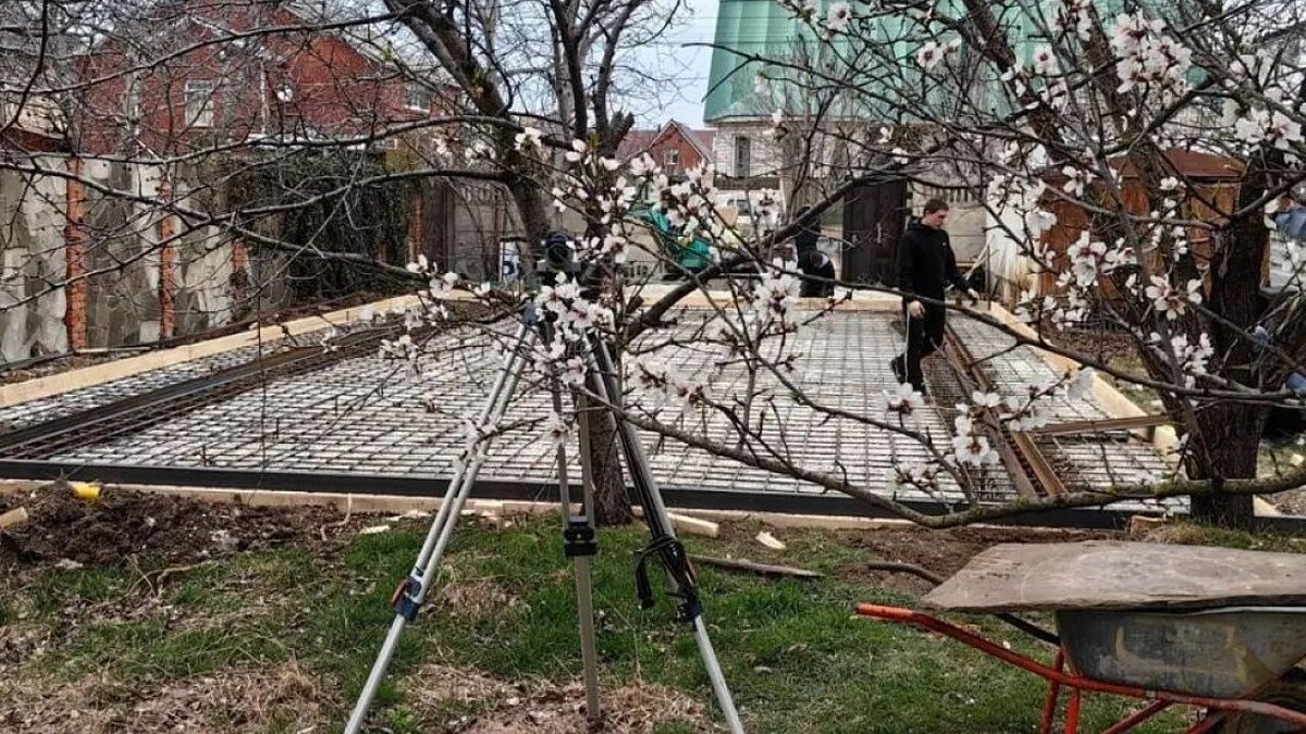    Фото: t.me/delfacenter