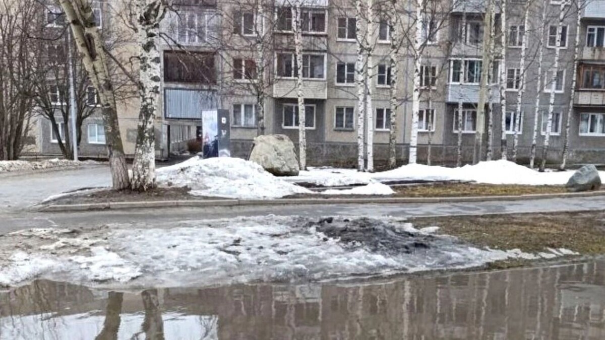     Источник: Александр Ершов / vk