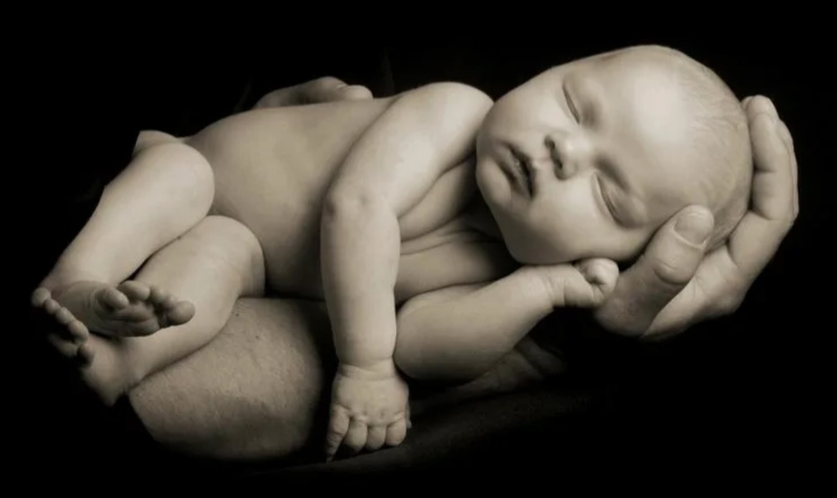 Картинка из интернета 