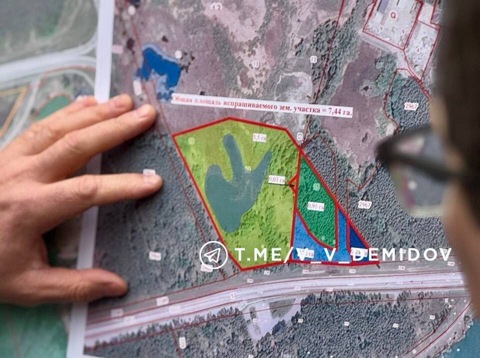    Фото: социальные сети Валентина Демидова