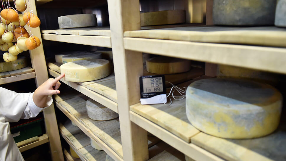 Фото: Влад Некрасов / Коммерсантъ