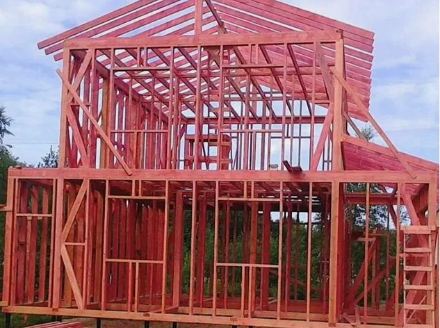Скелет каркасного дома