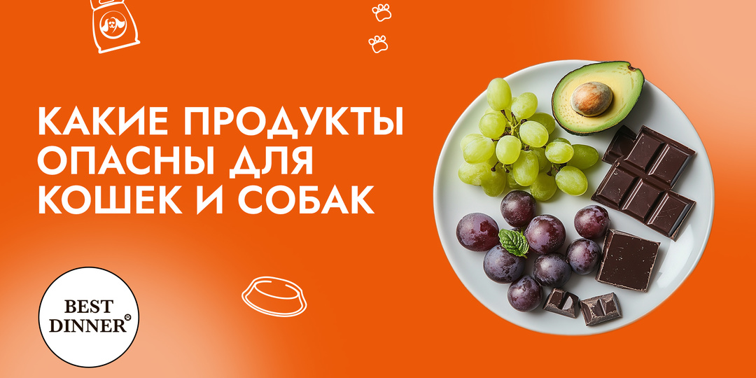 Какие продукты опасны для собак и кошек?