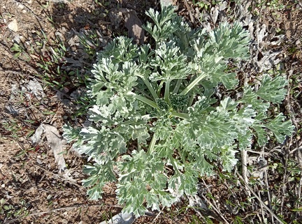 Фотография из личного архива автора