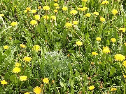 Фотография из личного архива автора