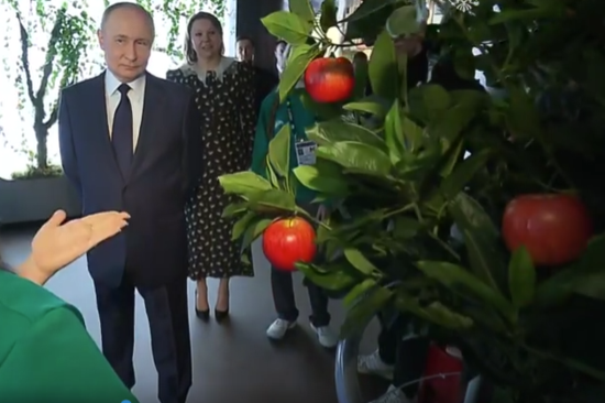 Снимок с видео: пресс-служба Кремля