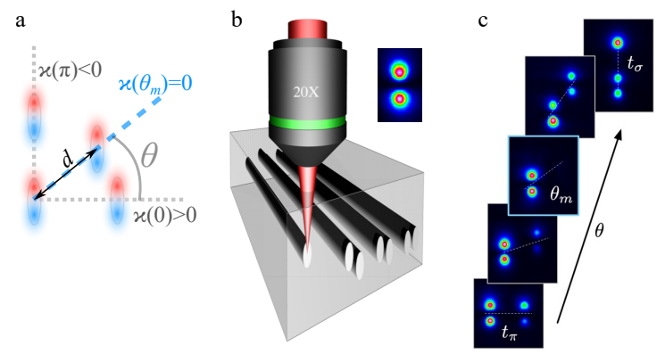   N + 1; Maxim Mazanov et al. / Nano Letters, 2025