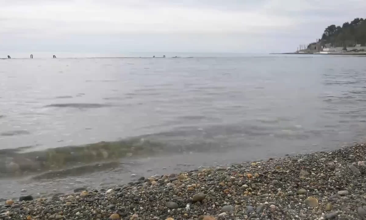    Скриншот видео t.me/agproshunin