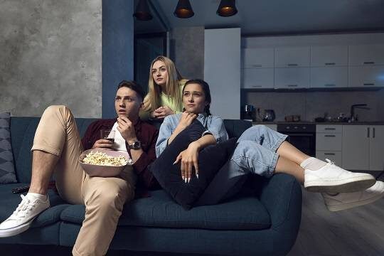    Пиратские студии озвучки заработали на переводах голливудских фильмов, дорам и аниме 94 миллиона рублей