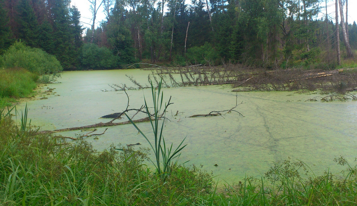 Фото из открытого источника в Яндексе