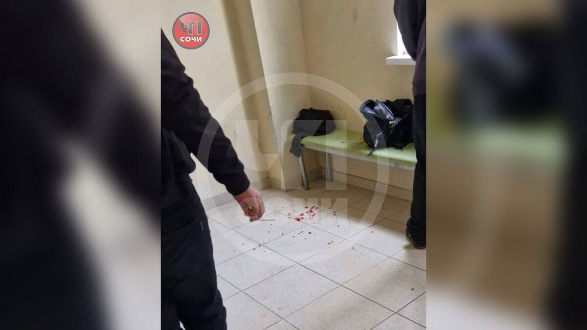    Фото: t.me/chp_sochi