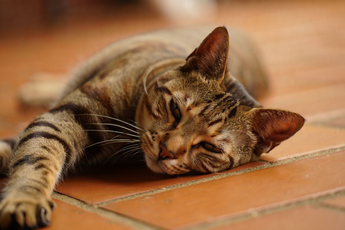 Неврологический синдром