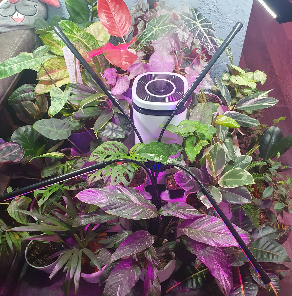 Моё любимое место в доме. 