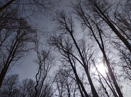 Фотография из личного архива автора