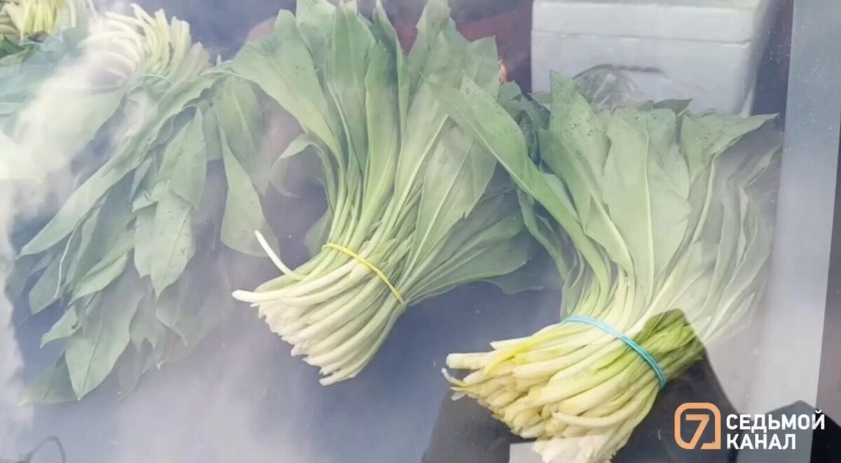     Источник: 7 канал Красноярск