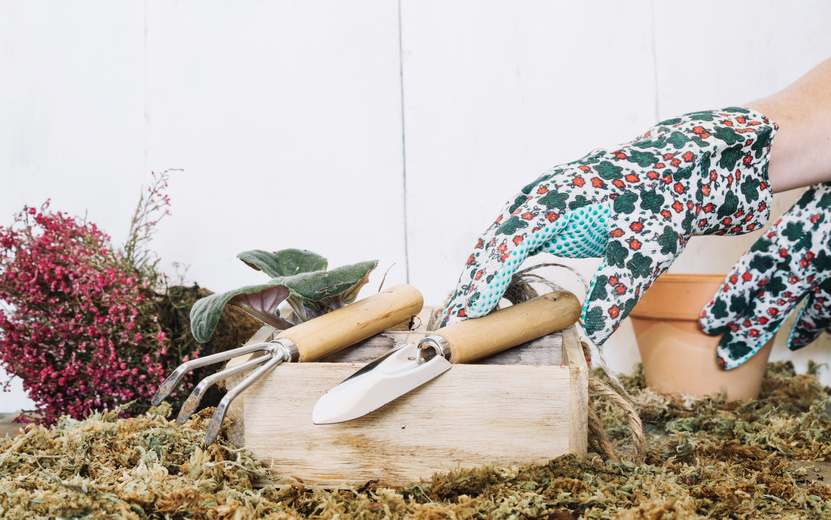    Опрос IZHLIFE: 26% ижевчан откроют дачный сезон в апреле