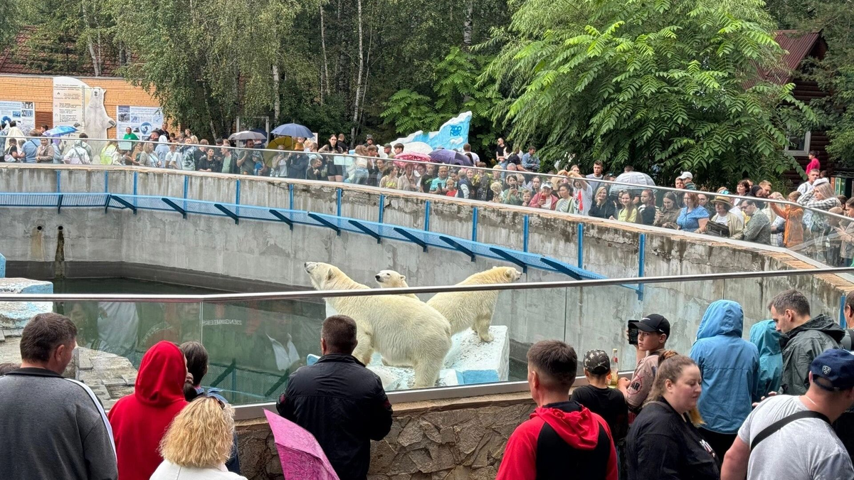 Фото: Эмилия Губарева. atas.info. Зоопарк нравится новосибирцам
