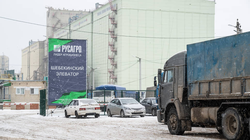 Фото: Олег Харсеев / Коммерсантъ