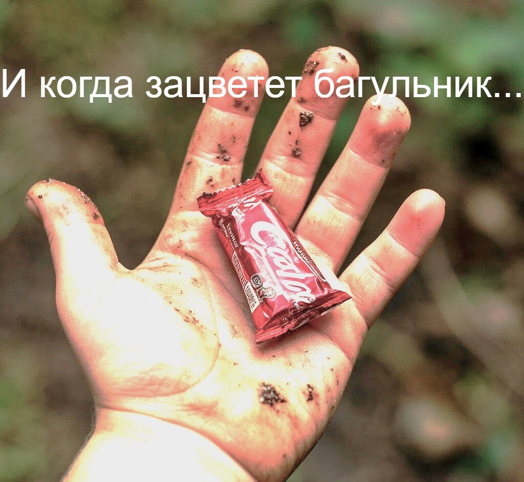 Изображение сгенерировано нейросетью Шедеврум