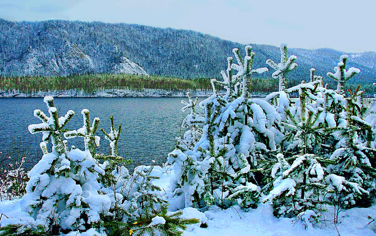Фотография, стихотворение Василия Глуцкого