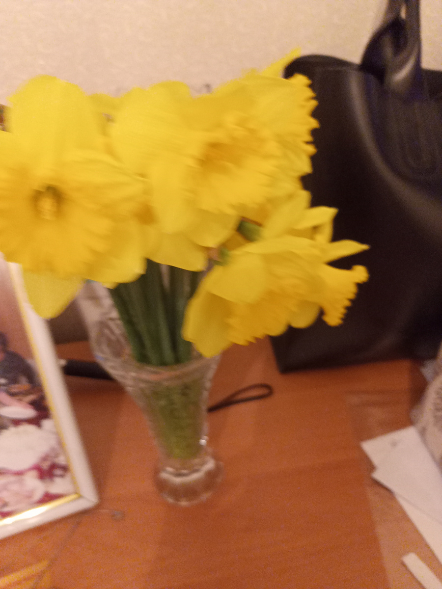 Расцвели и радуют нас!