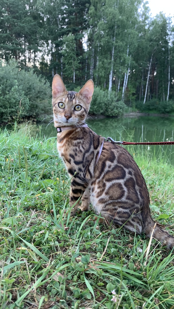 Прогулка и исследование местности (фото из личного архива)