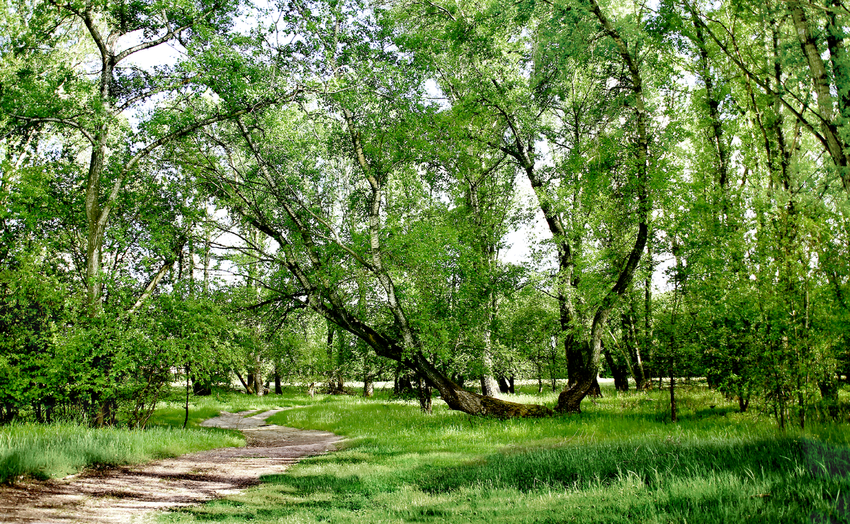 Фотография, стихотворение Василия Глуцкого