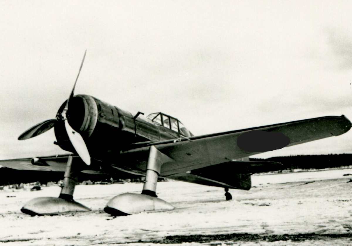 Fokker D.XXI были основой финских ВВС в 1939–1944 годах и активно применялись ими в ходе Зимней войны и «Войны-продолжения».