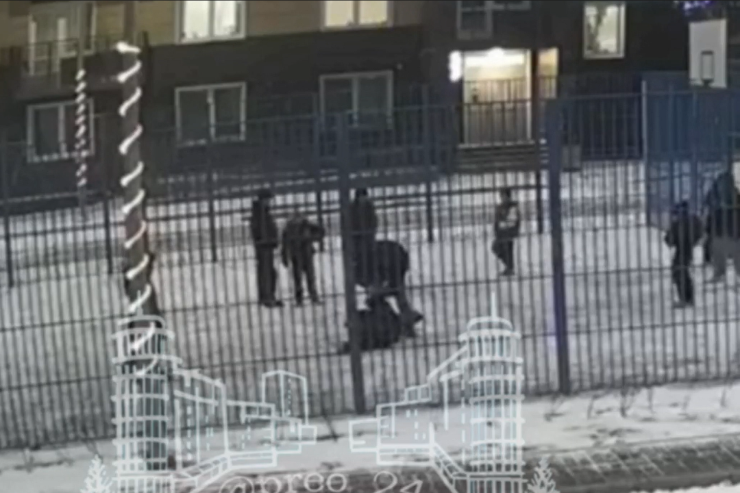 Скриншот видео с камер