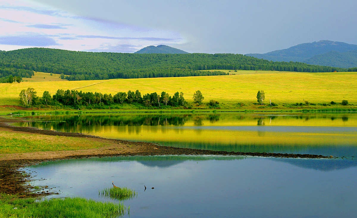 Фотография, стихотворение Василия Глуцкого