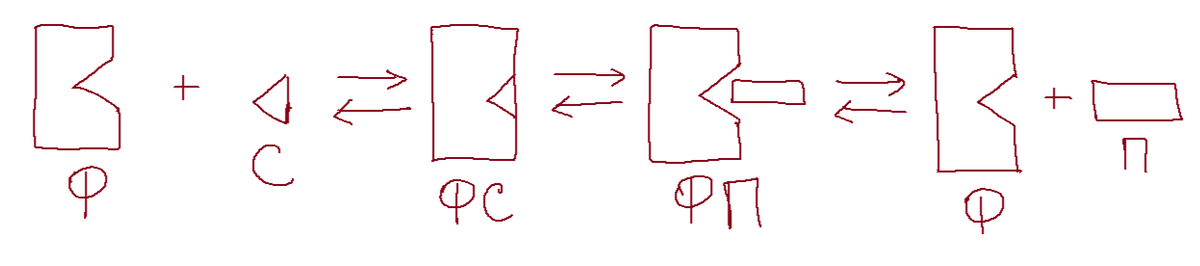 гипотеза ферментативного катализа "ключ и замок"