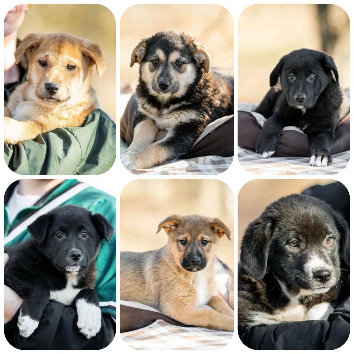 Первая шестёрка с надеждой на большую удачу пошла  в эфир!