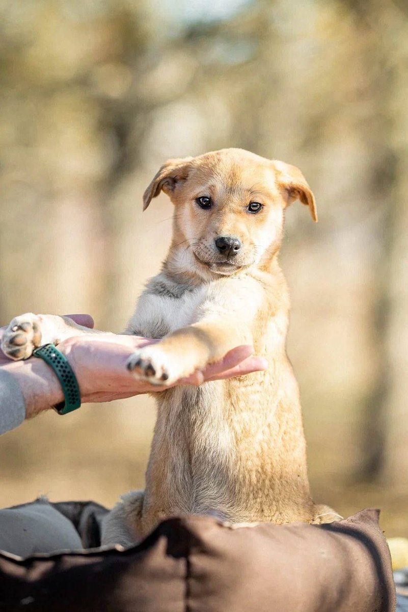 Трогательная солнечная девочка Марго