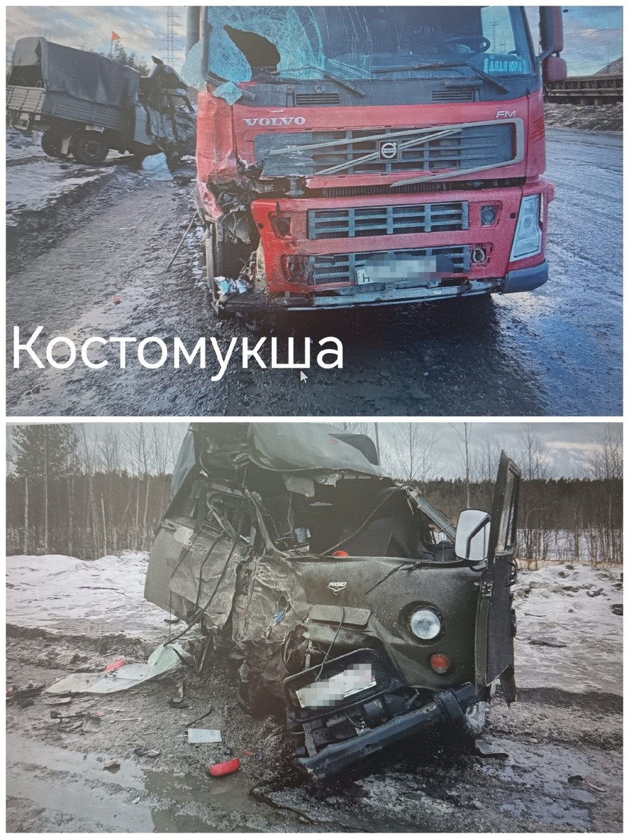    Фото: Госавтоинспекция Карелии / ВК