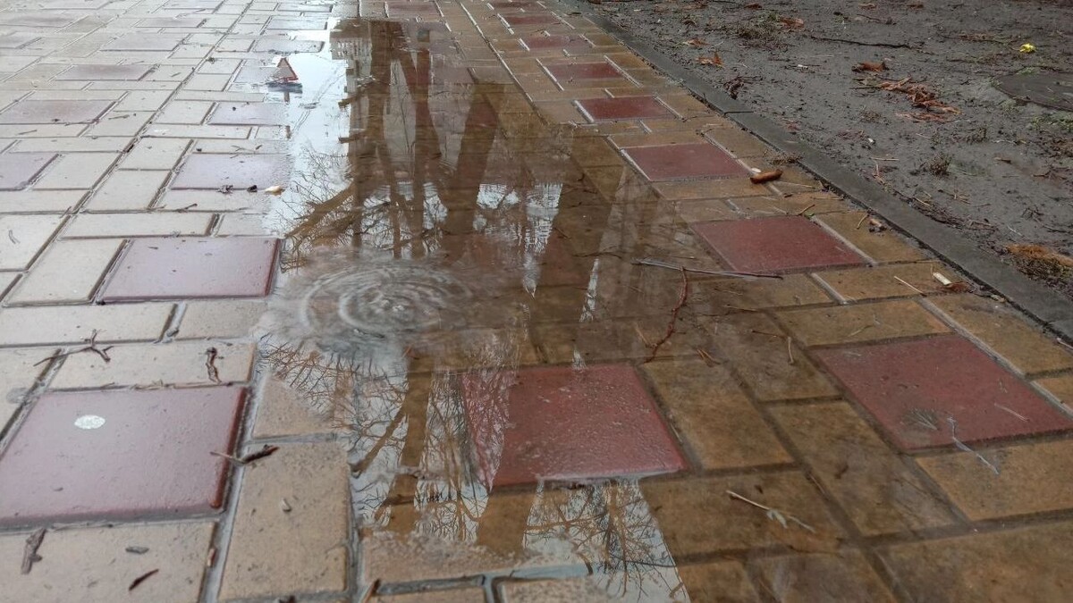     Источник: rostovgazeta.ru