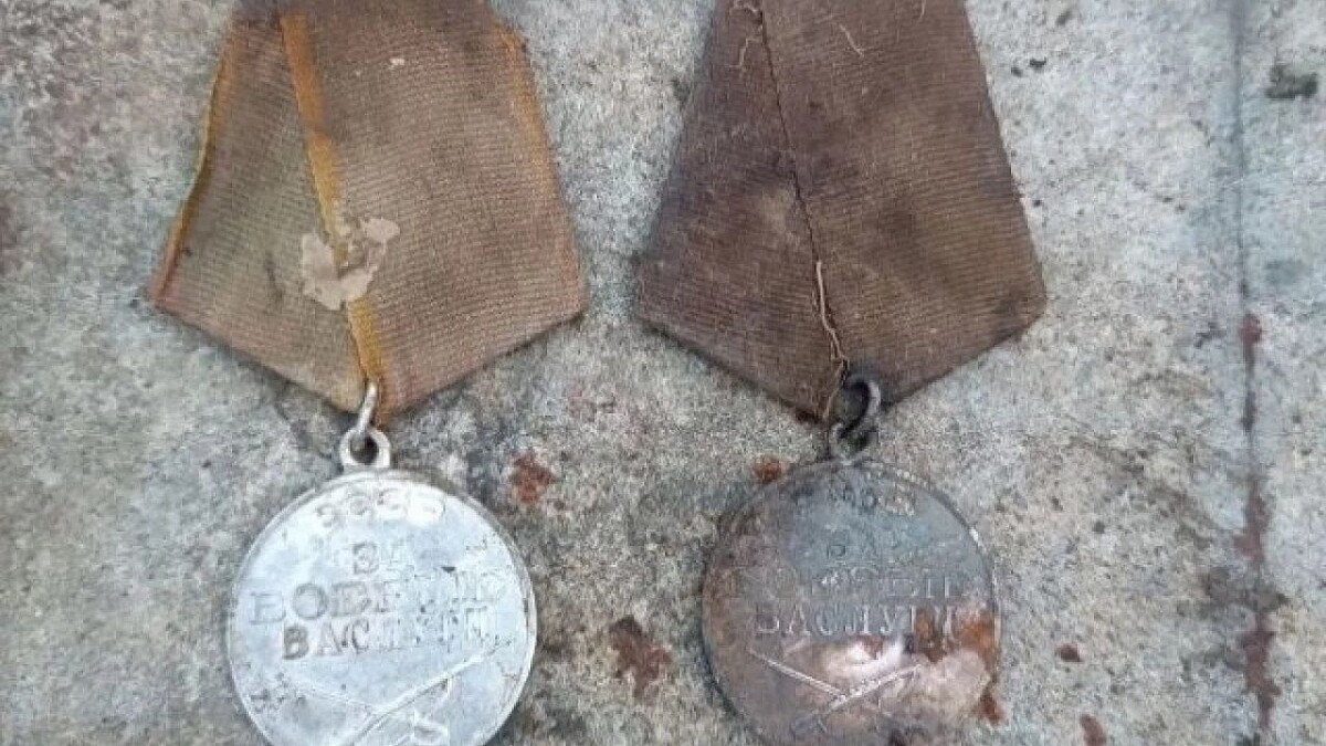    Фото: kuban.aif.ru