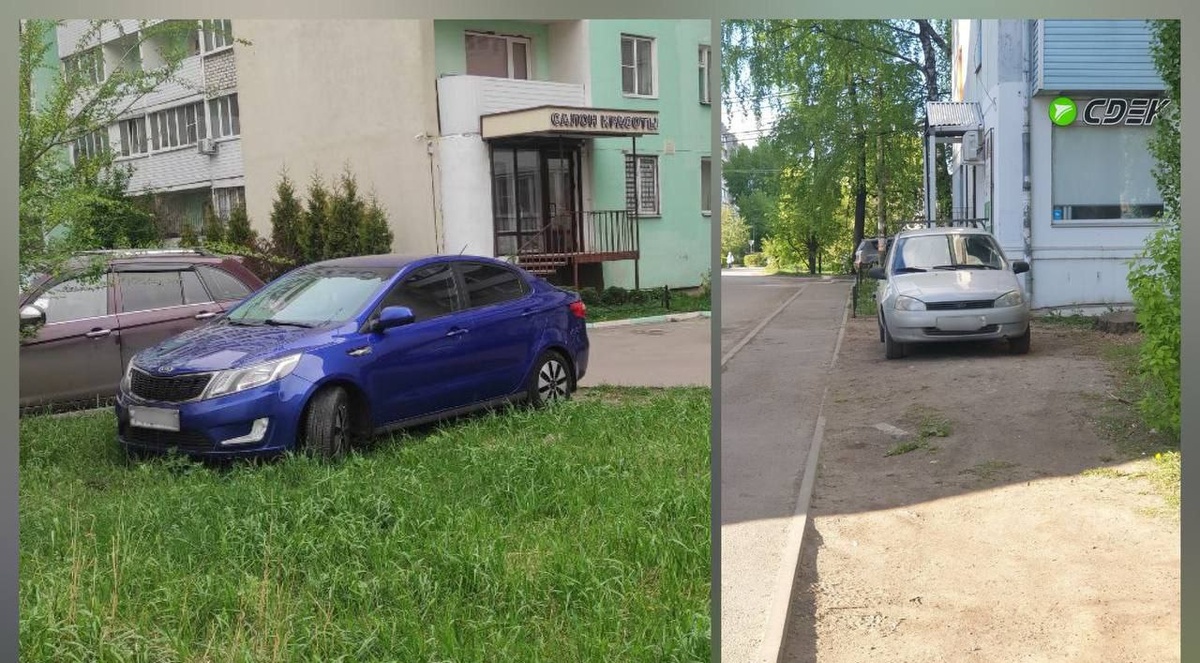    В Воронежской области предложили ужесточить наказание за нарушения благоустройства Госавтоинспекция Воронежской области