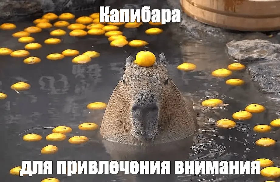 спасибо за внимание
