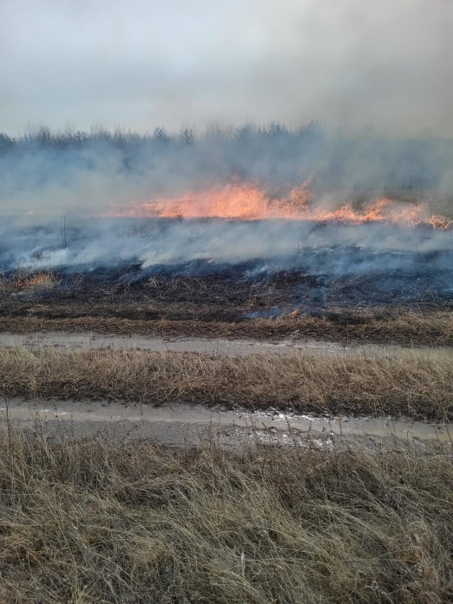    Фото: Пресс-служба Минприроды Забайкалья