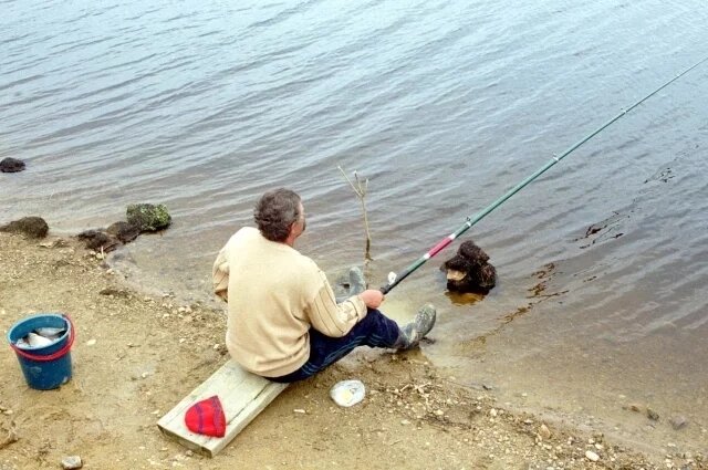    Какие запреты на рыбалку действуют весной и летом в Волгоградской области?